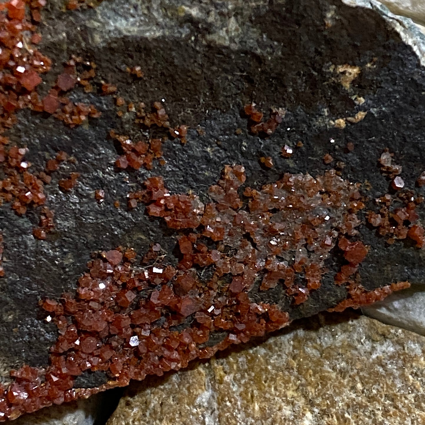 VANADINITE - RED CLOUD MINE, SILVER M.D., LA PAZ COUNTY, ARIZONA, U.S.A. 45g MF4213