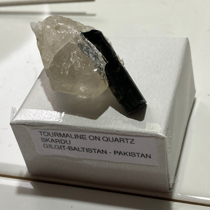 SCHORL TOURMALINE IN QUARTZ - SKARDU, GILGIT-BALTISTAN, PAKISTAN. 22g. MF4214