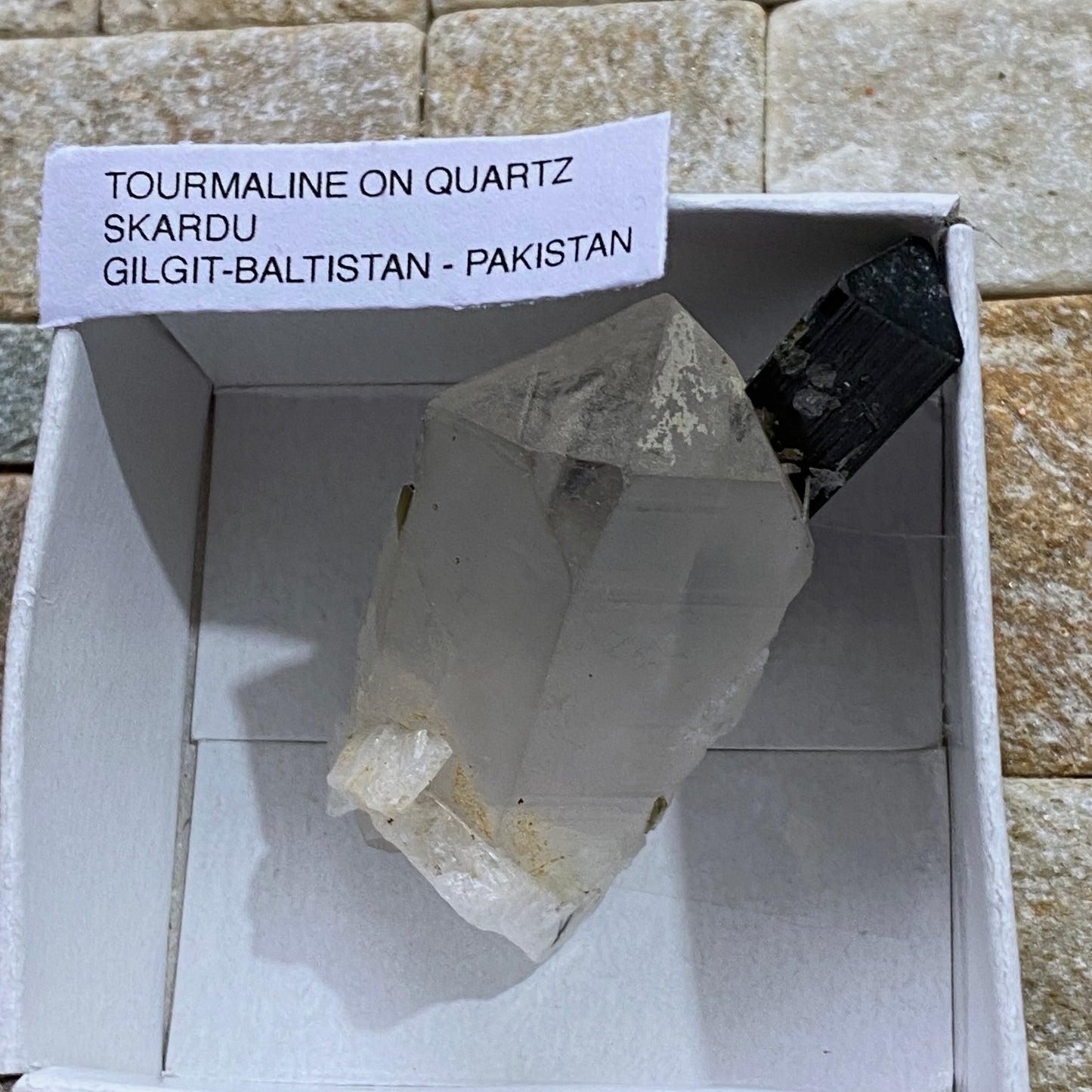 SCHORL TOURMALINE IN QUARTZ - SKARDU, GILGIT-BALTISTAN, PAKISTAN. 22g. MF4214