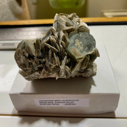 AQUAMARINE BERYL IN MUSCOVITE - NAGAR MINE, GILGIT-BALTISTAN, PAKISTAN 267g MF4215