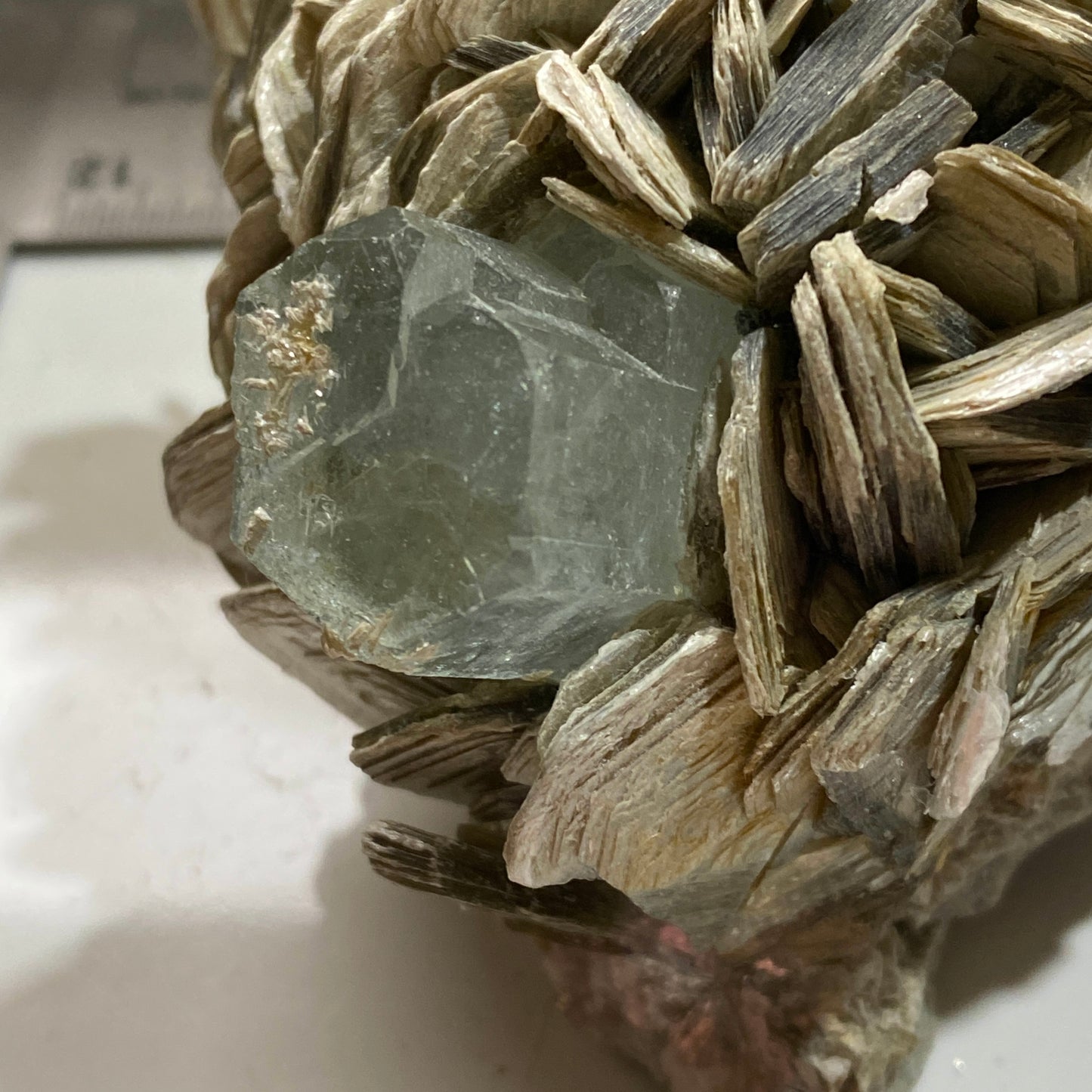 AQUAMARINE BERYL IN MUSCOVITE - NAGAR MINE, GILGIT-BALTISTAN, PAKISTAN 267g MF4215