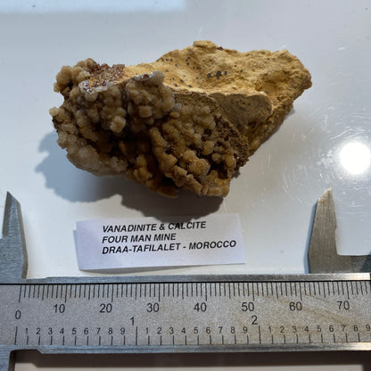 VANADINITE/CALCITE [ETC] : FOUR MAN MINE, DRAA-TAFILALET, MOROCCO. 38g MF5220