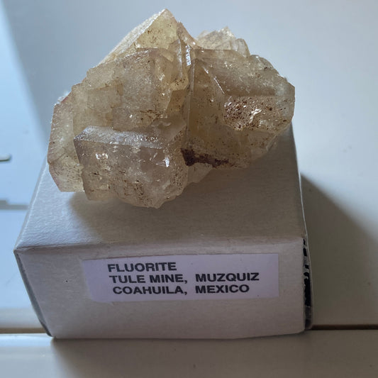 FLUORITE FROM TULE MINE, COAHUILA, MEXICO