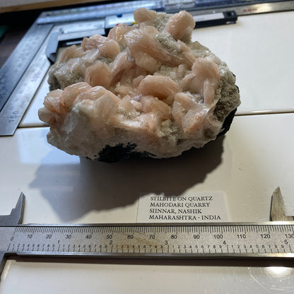STILBITE : MAHADORI QUARRY, SINNAR, NASHIK, MAHARASHTRA, INDIA 753g MF 5221