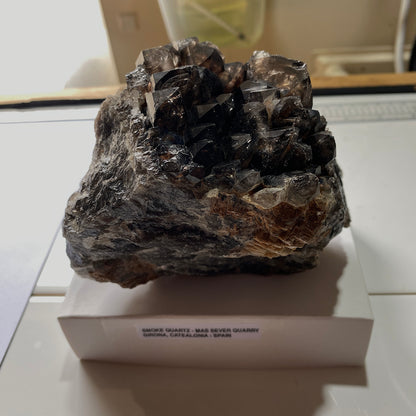 SMOKE QUARTZ CRYSTAL ASSEMBLAGE - MAS SEVER QUARRY, CATEALONIA, SPAIN 1021g MF4440