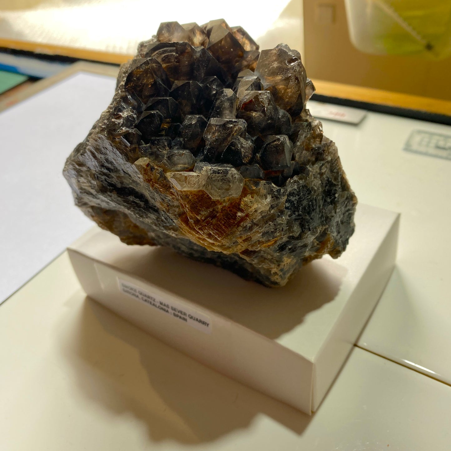 SMOKE QUARTZ CRYSTAL ASSEMBLAGE - MAS SEVER QUARRY, CATEALONIA, SPAIN 1021g MF4440