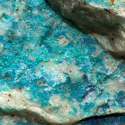 CHRYSOCOLLA WITH AZURITE - INSPIRATION MINE, ARIZONA, U.S.A SUBSTANTIAL 2350g MF4219