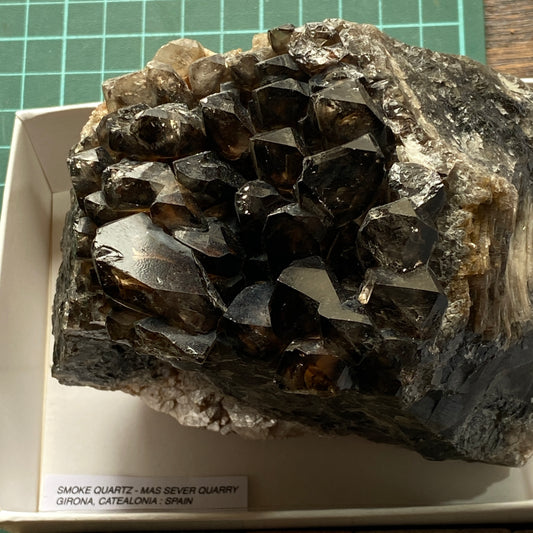 SMOKE QUARTZ CRYSTAL ASSEMBLAGE - MAS SEVER QUARRY, CATEALONIA, SPAIN 1021g MF4440