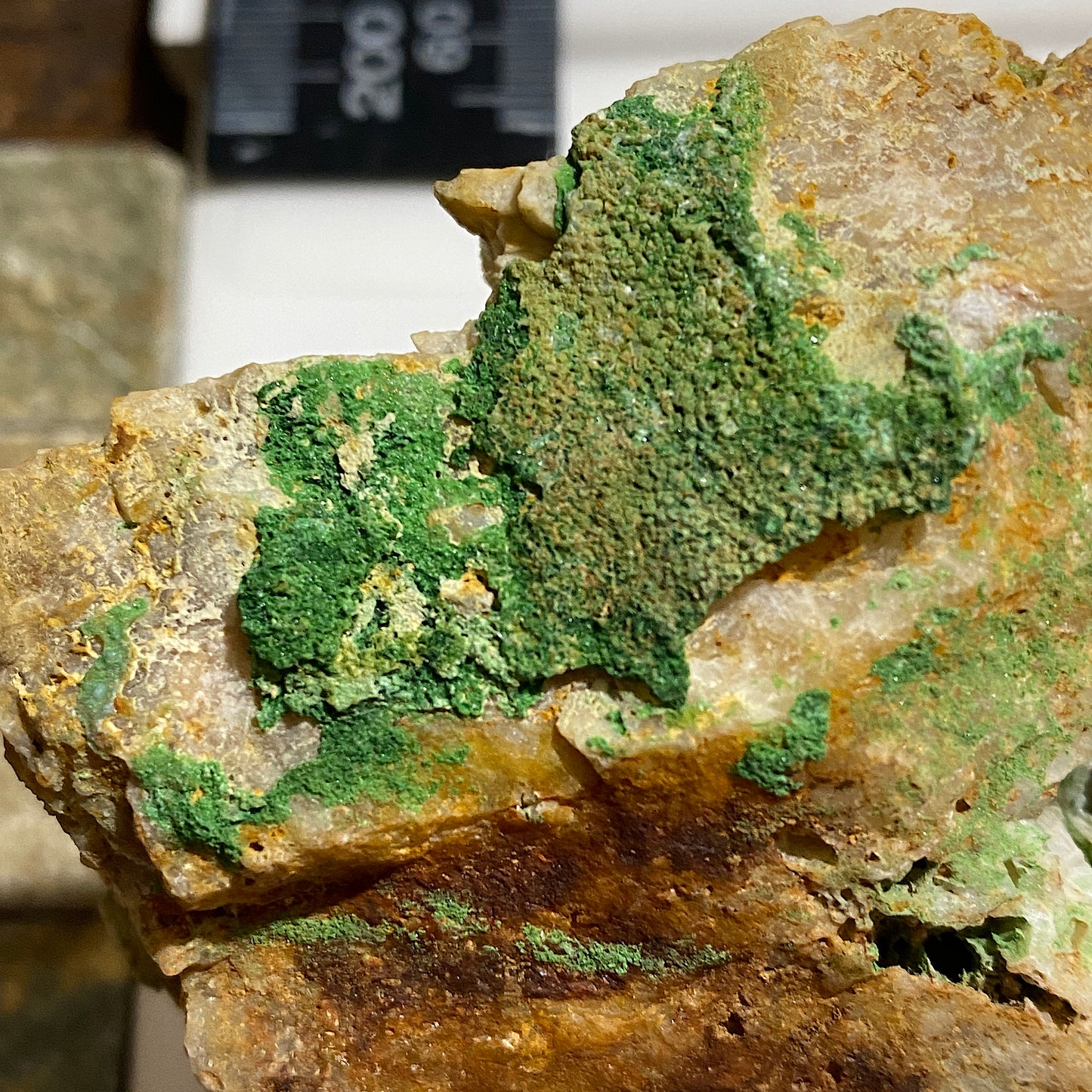 BAYLDONITE : DUCKETTS SHAFT, PENBERTHY CROFT MINE, ST HILARY, CORNWALL 258g MF1571