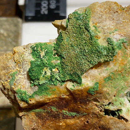 BAYLDONITE : DUCKETTS SHAFT, PENBERTHY CROFT MINE, ST HILARY, CORNWALL 258g MF1571