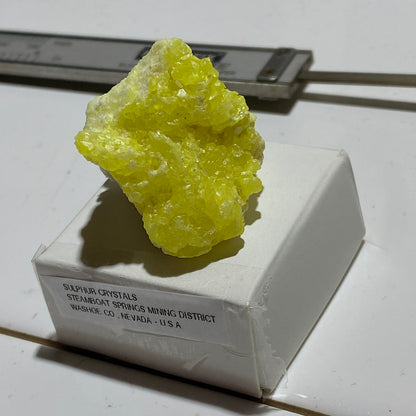 SULPHUR CRYSTALLISATION : STEAMBOAT SPRINGS MINING DISTRICT, NEVADA, U.S.A. 14g MF5227