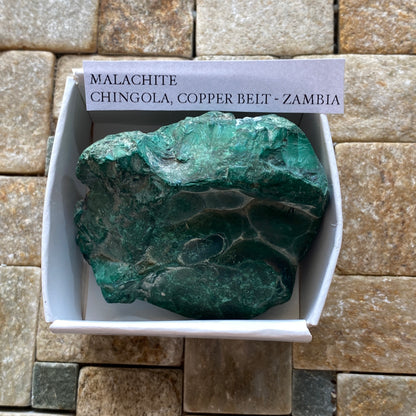 MALACHITE : CHINGOLA, COPPER BELT PROVINCE, ZAMBIA  108g MF5231