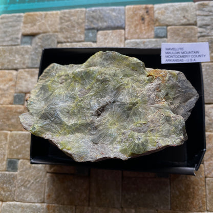 WAVELLITE - MAULDIN MOUNTAIN, MONTGOMERY COUNTY, ARKANSAS, U.S.A. LARGE 468g  MF6894