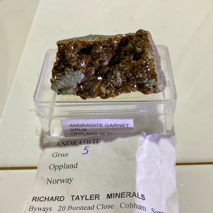 ANDRADITE GARNET CRYSTAL ASSEMBLAGE, SKJERPEMYR MINE, NORWAY 29g MF1562