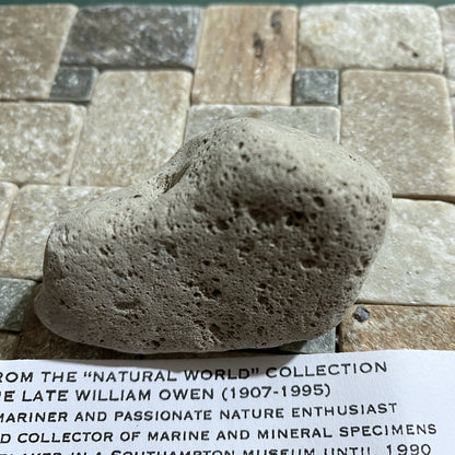 PUMICE VOLCANIC ROCK - ISCHIA ISALND, NAPLES, ITALY. 17g. MF4227