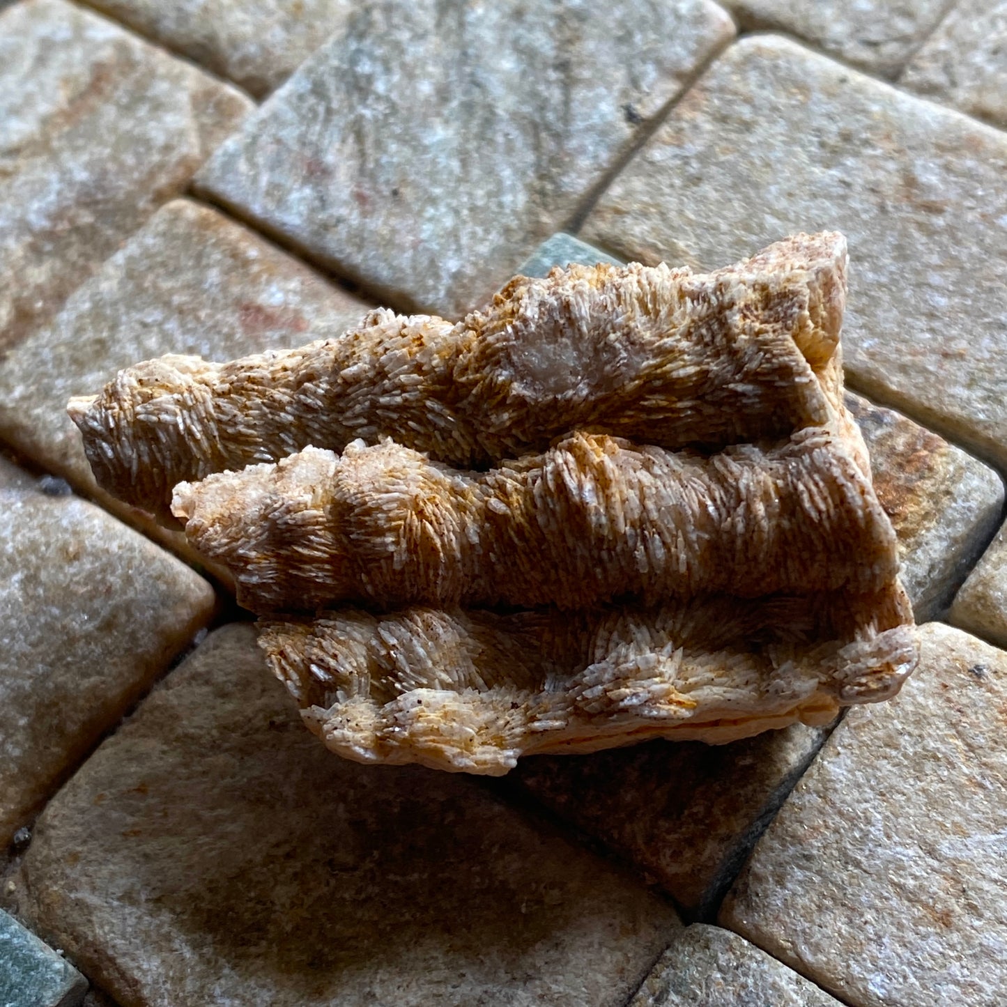 AGATISED FOSSIL CORAL FROM MIDDLE ATLAS MOUNTAINS, MOROCCO  35g MF2029