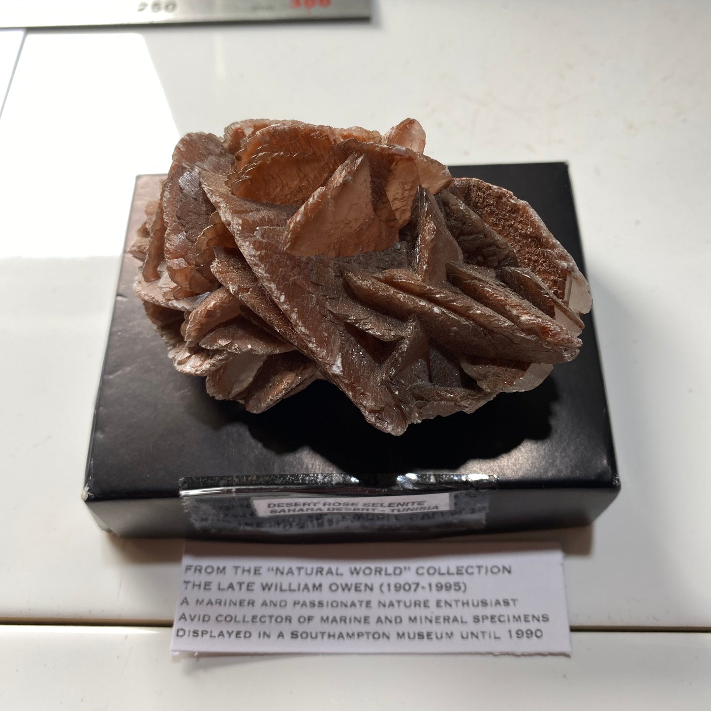 SELENITE DESERT ROSE - TUNISIA SAHARA DESERT, AFRICA 158g MF6896