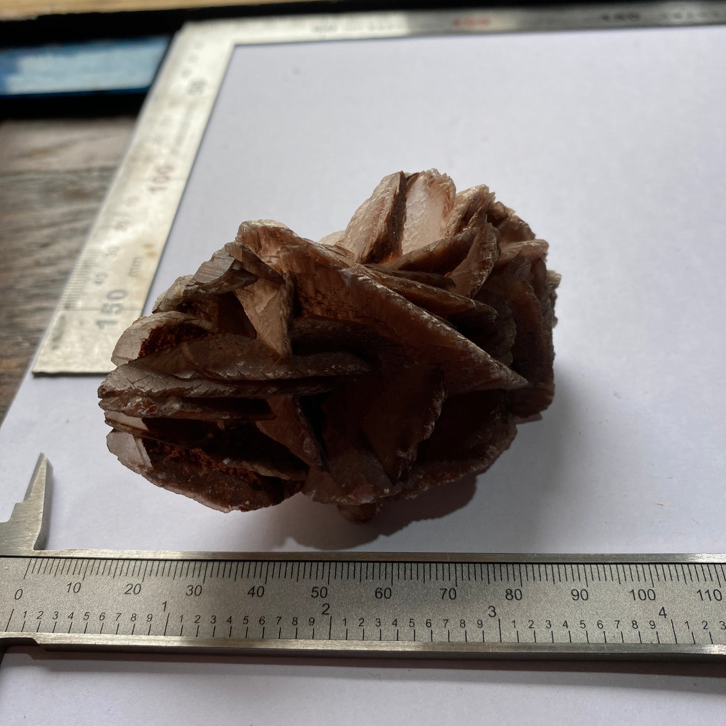 SELENITE DESERT ROSE - TUNISIA SAHARA DESERT, AFRICA 158g MF6896