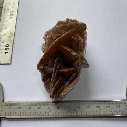 SELENITE DESERT ROSE - TUNISIA SAHARA DESERT, AFRICA 158g MF6896