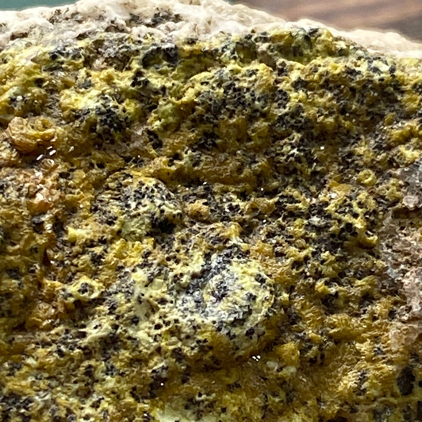 PYROMORPHITE : BWICH GLAS MINE, TAL-Y-BONT, CEREDIGION, WALES, U.K. 83g MF5236