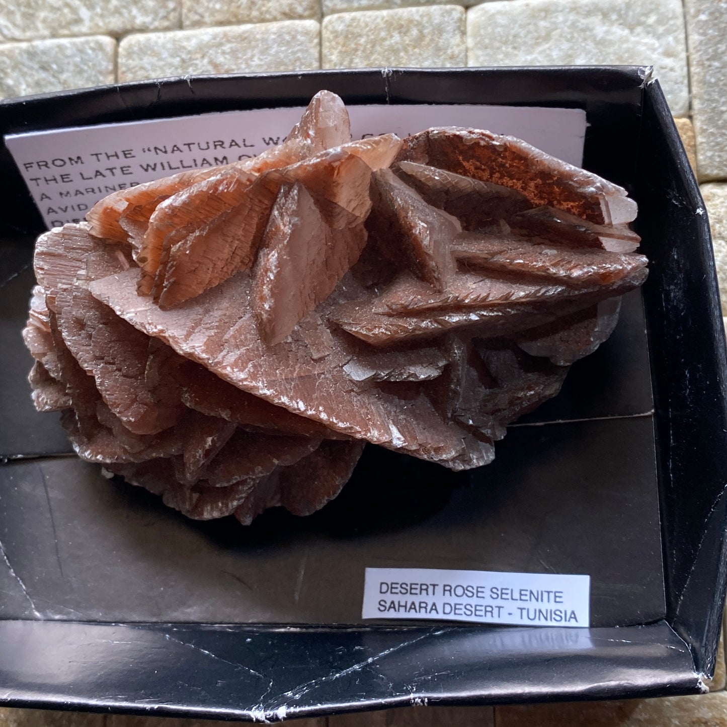 SELENITE DESERT ROSE - TUNISIA SAHARA DESERT, AFRICA 158g MF6896