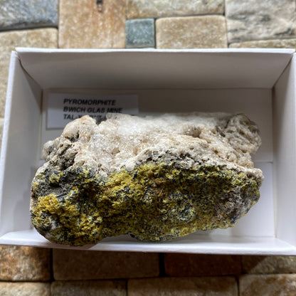 PYROMORPHITE : BWICH GLAS MINE, TAL-Y-BONT, CEREDIGION, WALES, U.K. 83g MF5236