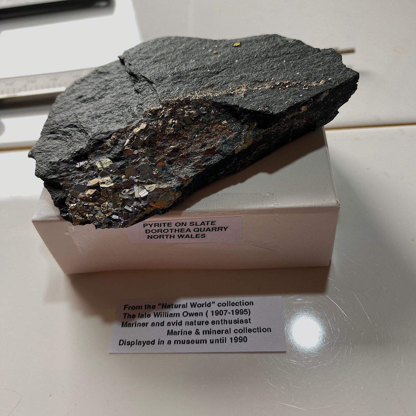 PYRITE ON SLATE : DOROTHEA QUARRY, NANTING VALLEY, SNOWDONIA, WALES 116g MF5237