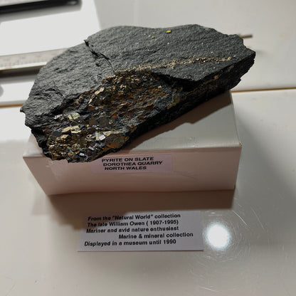 PYRITE ON SLATE : DOROTHEA QUARRY, NANTING VALLEY, SNOWDONIA, WALES 116g MF5237