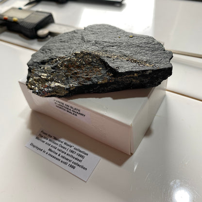 PYRITE ON SLATE : DOROTHEA QUARRY, NANTING VALLEY, SNOWDONIA, WALES 116g MF5237