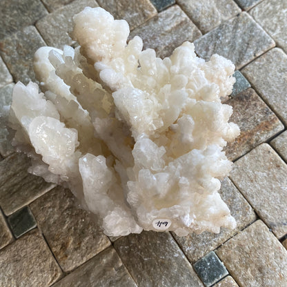 HYDROZINCITE FROM DALI, YUNNAN, CHINA 232g MF2041