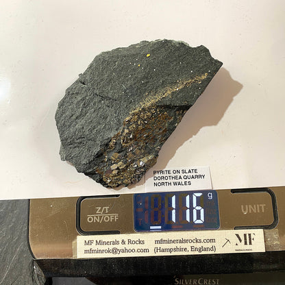 PYRITE ON SLATE : DOROTHEA QUARRY, NANTING VALLEY, SNOWDONIA, WALES 116g MF5237