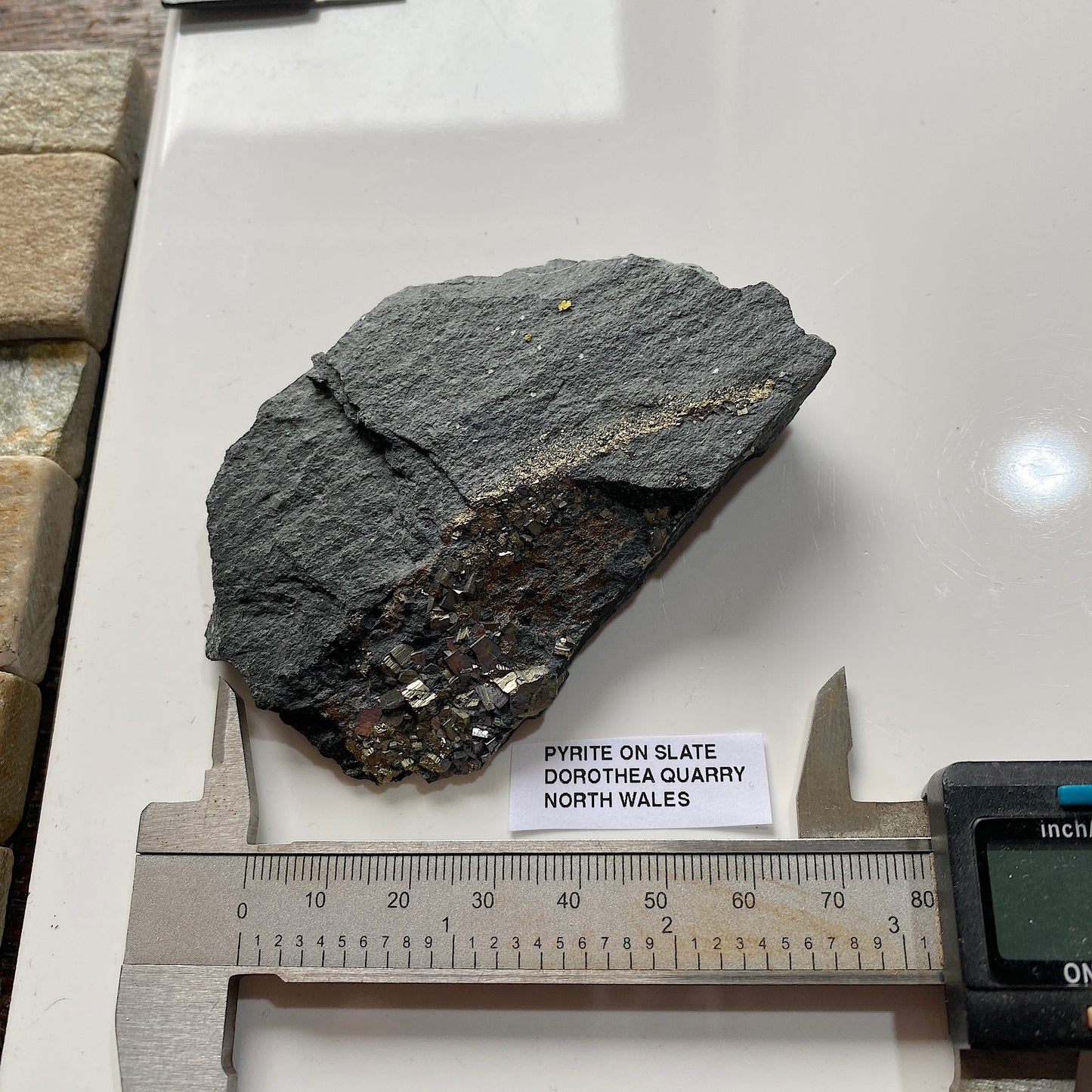 PYRITE ON SLATE : DOROTHEA QUARRY, NANTING VALLEY, SNOWDONIA, WALES 116g MF5237