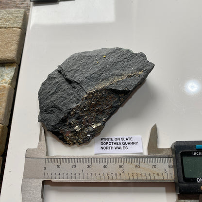 PYRITE ON SLATE : DOROTHEA QUARRY, NANTING VALLEY, SNOWDONIA, WALES 116g MF5237