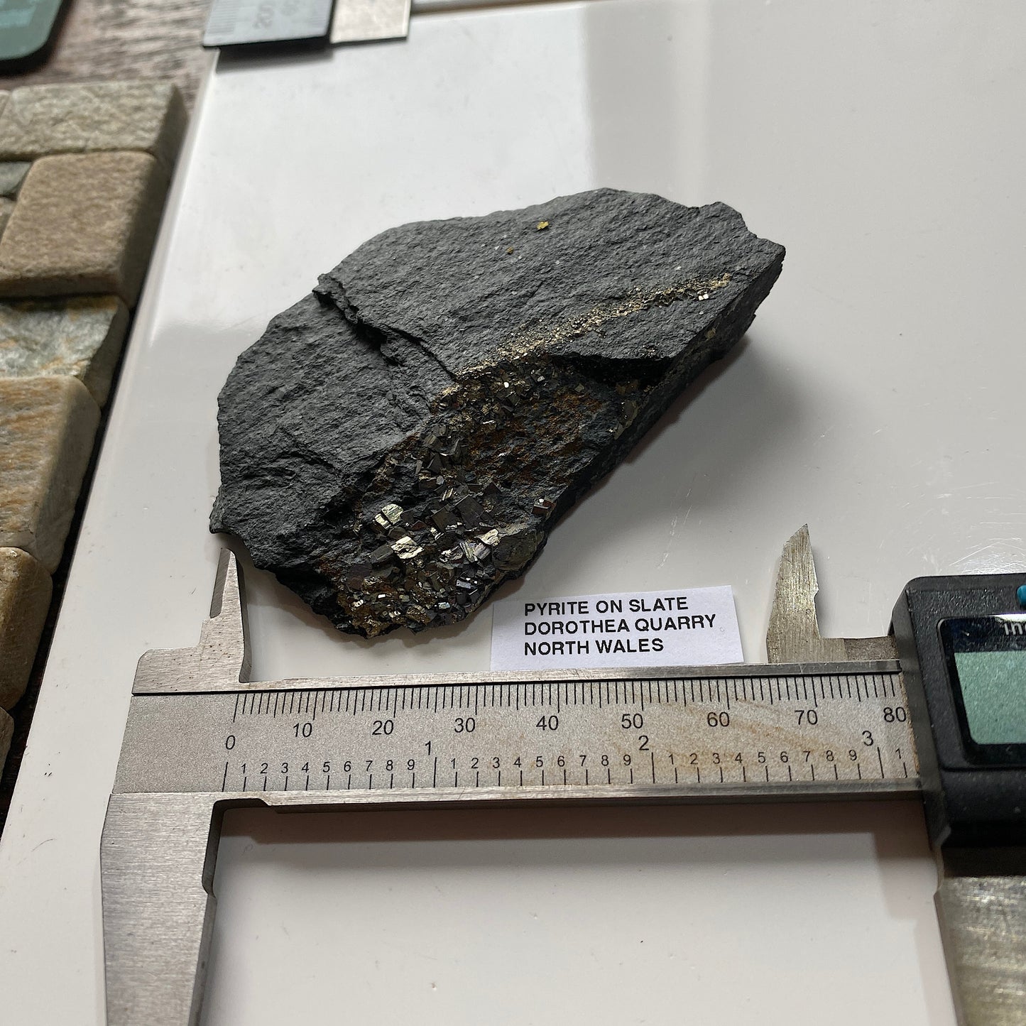 PYRITE ON SLATE : DOROTHEA QUARRY, NANTING VALLEY, SNOWDONIA, WALES 116g MF5237