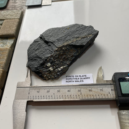 PYRITE ON SLATE : DOROTHEA QUARRY, NANTING VALLEY, SNOWDONIA, WALES 116g MF5237