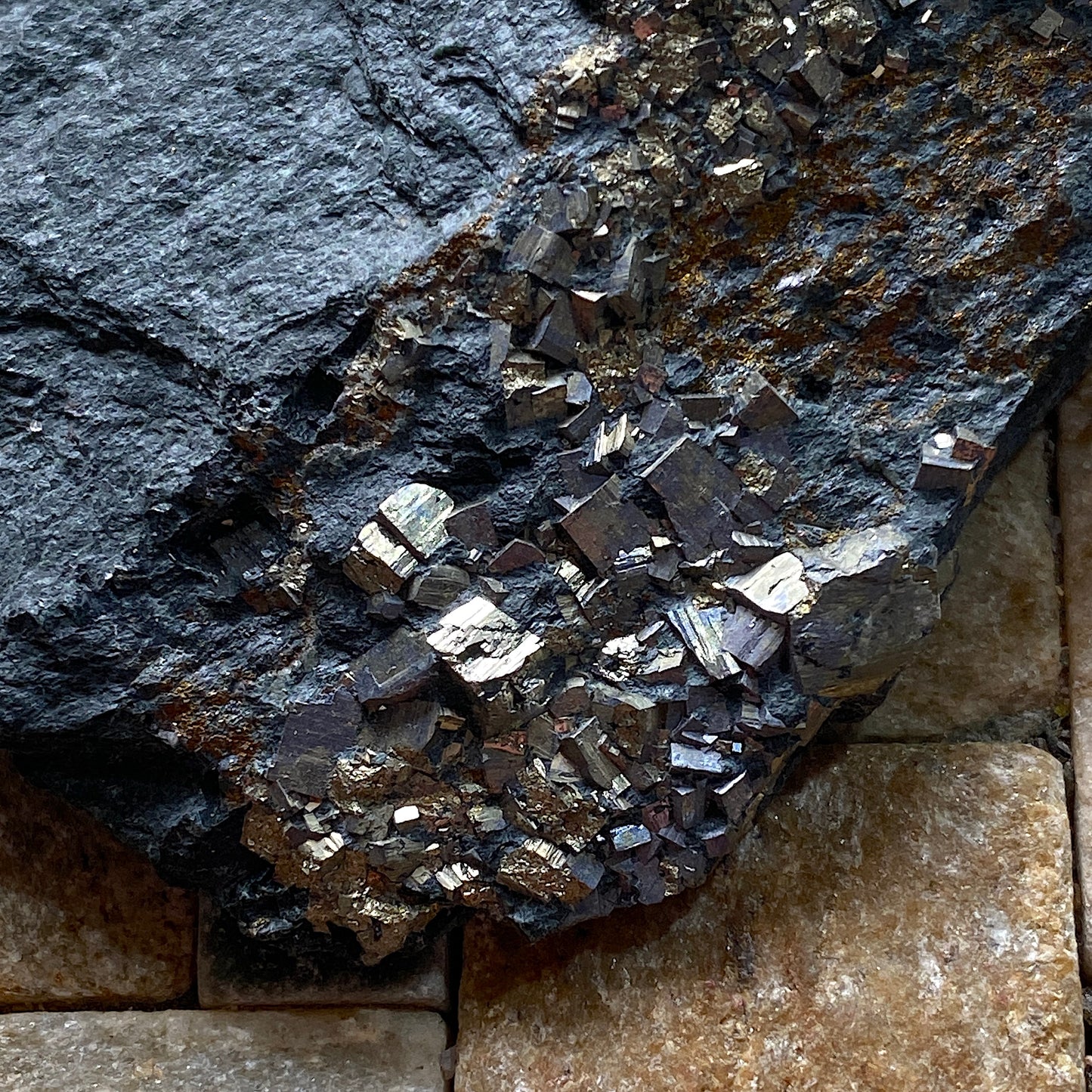 PYRITE ON SLATE : DOROTHEA QUARRY, NANTING VALLEY, SNOWDONIA, WALES 116g MF5237