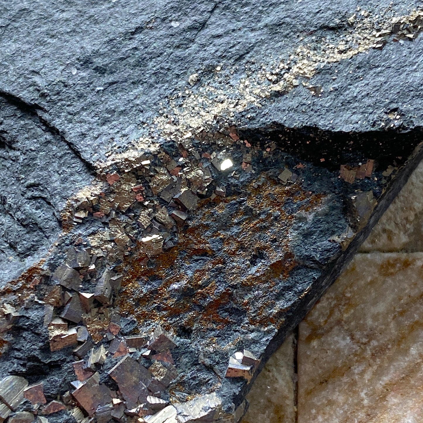 PYRITE ON SLATE : DOROTHEA QUARRY, NANTING VALLEY, SNOWDONIA, WALES 116g MF5237