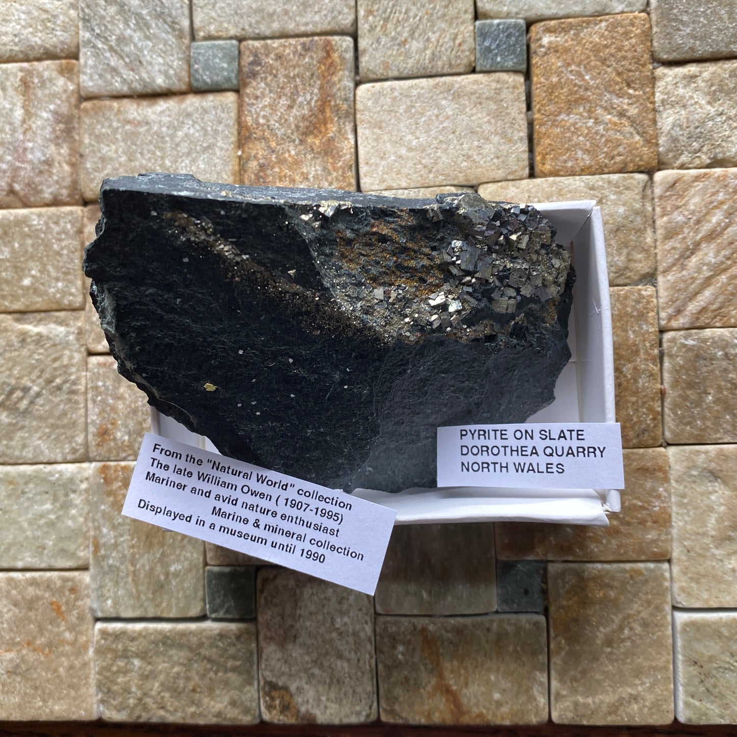 PYRITE ON SLATE : DOROTHEA QUARRY, NANTING VALLEY, SNOWDONIA, WALES 116g MF5237