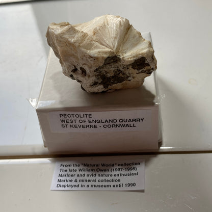 PECTOLITE : WEST OF ENGLAND QUARRY, ST KEVERNE, CORNWALL  31g  MF5238