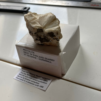 PECTOLITE : WEST OF ENGLAND QUARRY, ST KEVERNE, CORNWALL  31g  MF5238
