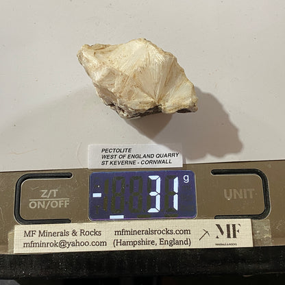 PECTOLITE : WEST OF ENGLAND QUARRY, ST KEVERNE, CORNWALL  31g  MF5238