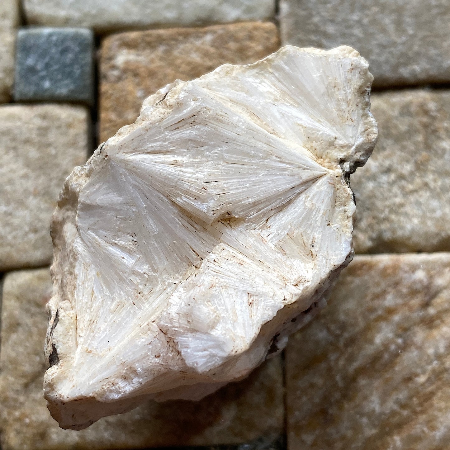 PECTOLITE : WEST OF ENGLAND QUARRY, ST KEVERNE, CORNWALL  31g  MF5238