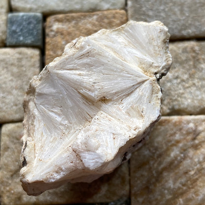 PECTOLITE : WEST OF ENGLAND QUARRY, ST KEVERNE, CORNWALL  31g  MF5238
