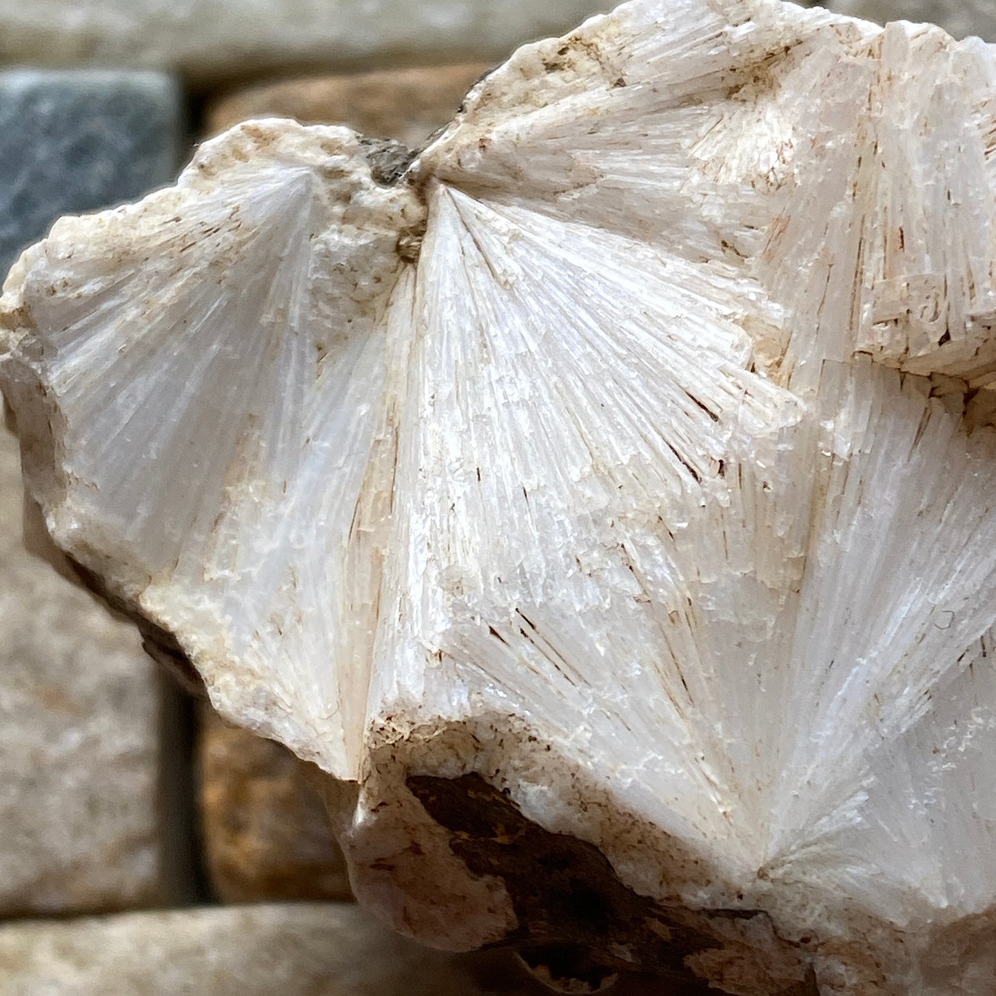 PECTOLITE : WEST OF ENGLAND QUARRY, ST KEVERNE, CORNWALL  31g  MF5238