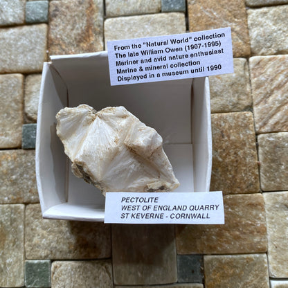 PECTOLITE : WEST OF ENGLAND QUARRY, ST KEVERNE, CORNWALL  31g  MF5238