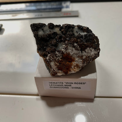 HEMATITE "IRON ROSES" : LECHANG MINE, SHAOGUAN, GUANGDONG, CHINA 103g MF5239