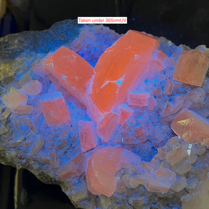 CALCITE CRYSTAL ASSEMBLAGE, NORTHERN CAPE, SOUTH AFRICA. SUBSTANTIAL 838g MF1594