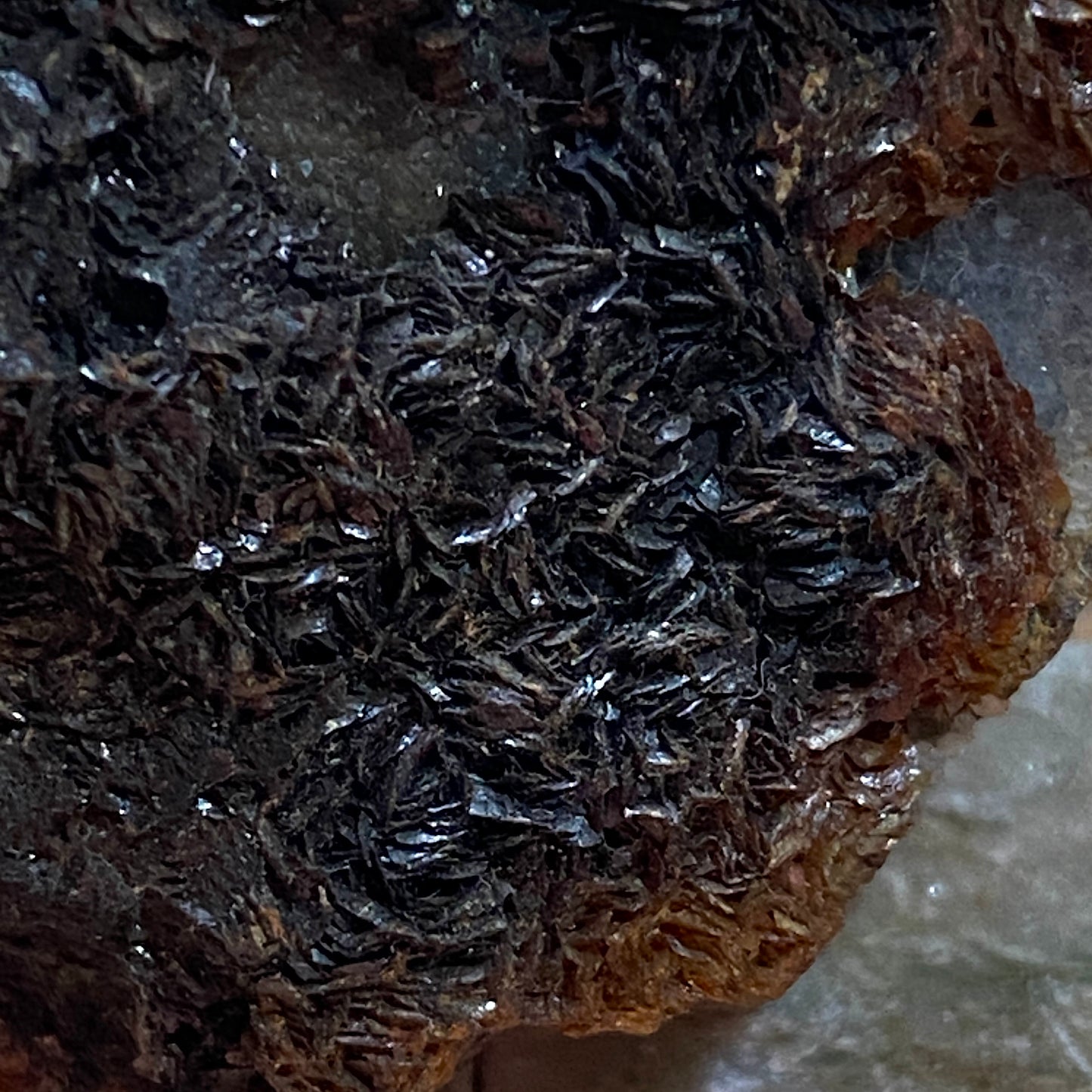 HEMATITE "IRON ROSES" : LECHANG MINE, SHAOGUAN, GUANGDONG, CHINA 103g MF5239