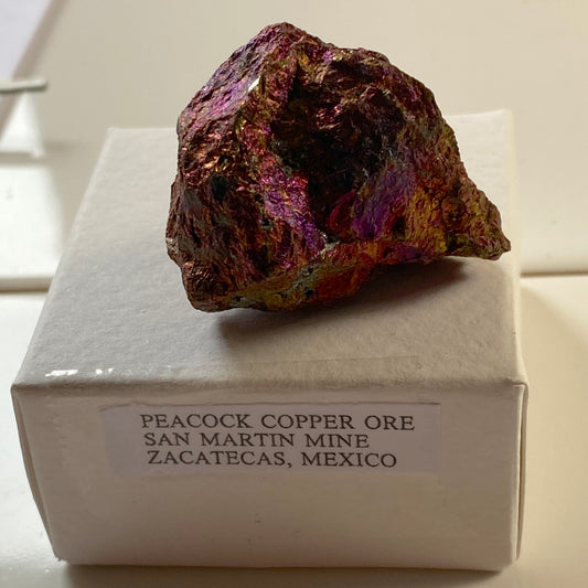 PEACOCK COPPER ORE FROM SAN MARTIN MINE, MEXICO 44g MF2044