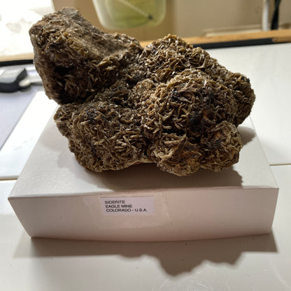 SIDERITE IRON ORE - EAGLE MINE, COLORADO, U.S.A. HEAVY 814g MF6874